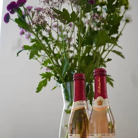 Apartamento *top Apartment* Beliebte Lage* In *